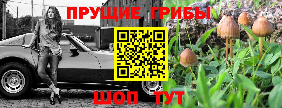Галлюциногенные грибы GOLDEN TEACHER Мурино