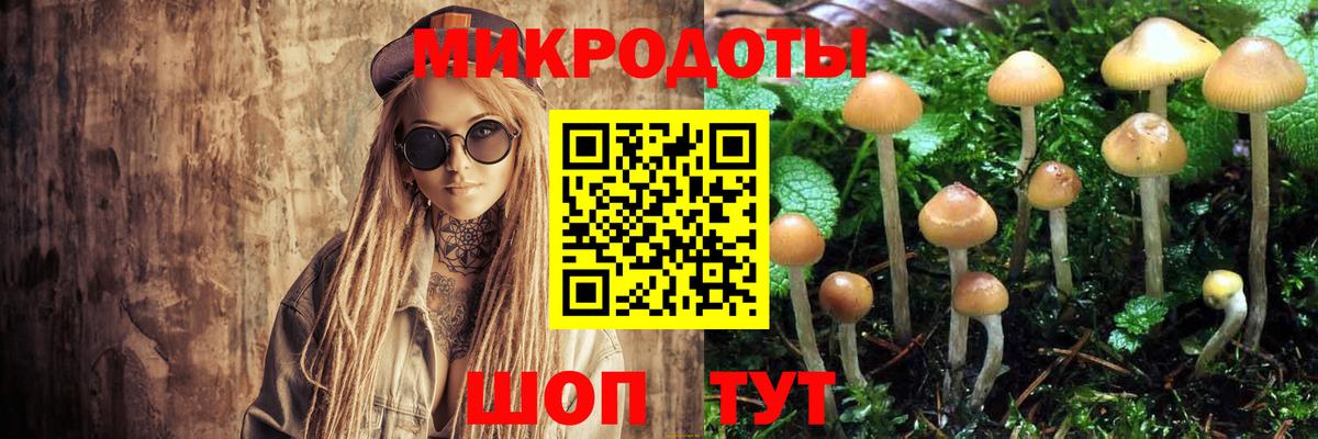 дарнет шоп  Псилоцибиновые грибы ЛСД  Вход с VPN  Мурино 